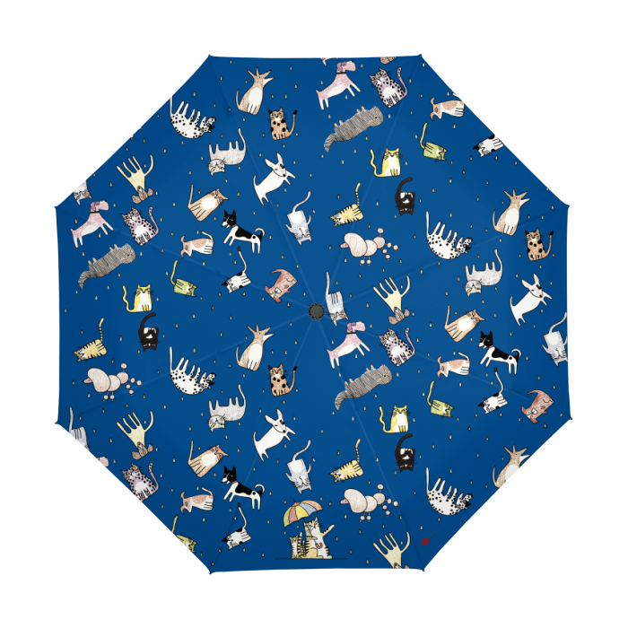 Thumbnail: It's Raining... By Ikki Matsumoto Automatic Umbrella
