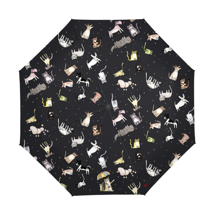 Thumbnail: It's Raining... By Ikki Matsumoto Automatic Umbrella
