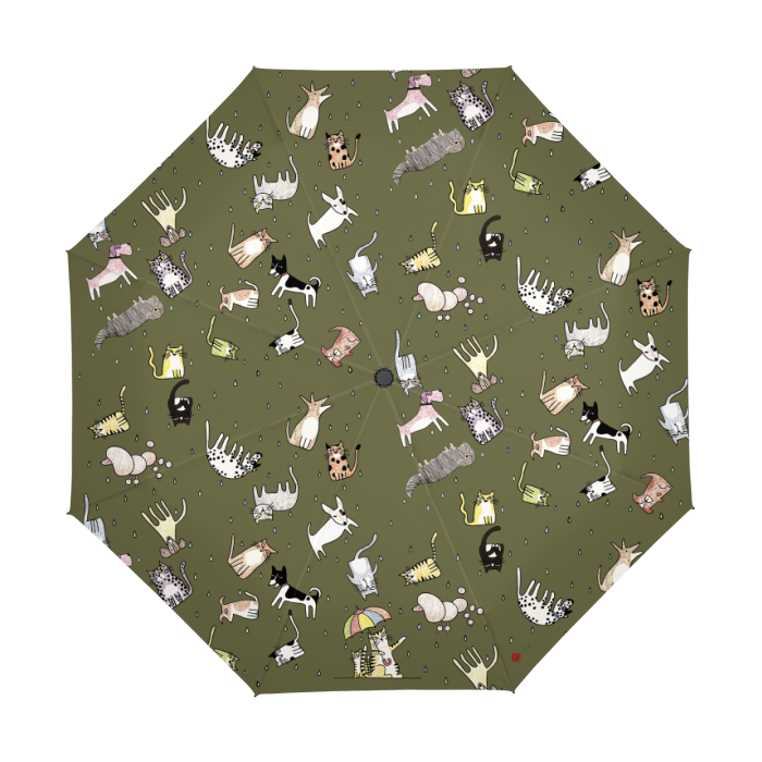 Thumbnail: It's Raining... By Ikki Matsumoto Automatic Umbrella