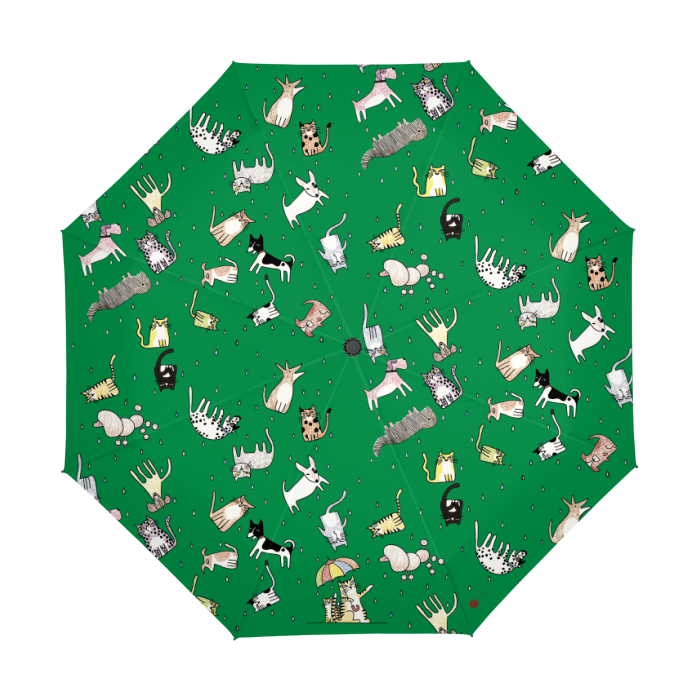 Thumbnail: It's Raining... By Ikki Matsumoto Automatic Umbrella