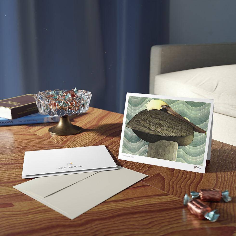 Thumbnail: Brown Pelican by Ikki Matsumoto Cards - 8, 16, or 24 Pieces