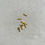 Miniaturbild: Quetsch Verschluss gold o. silber