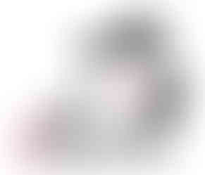 Super Secret Spy Case