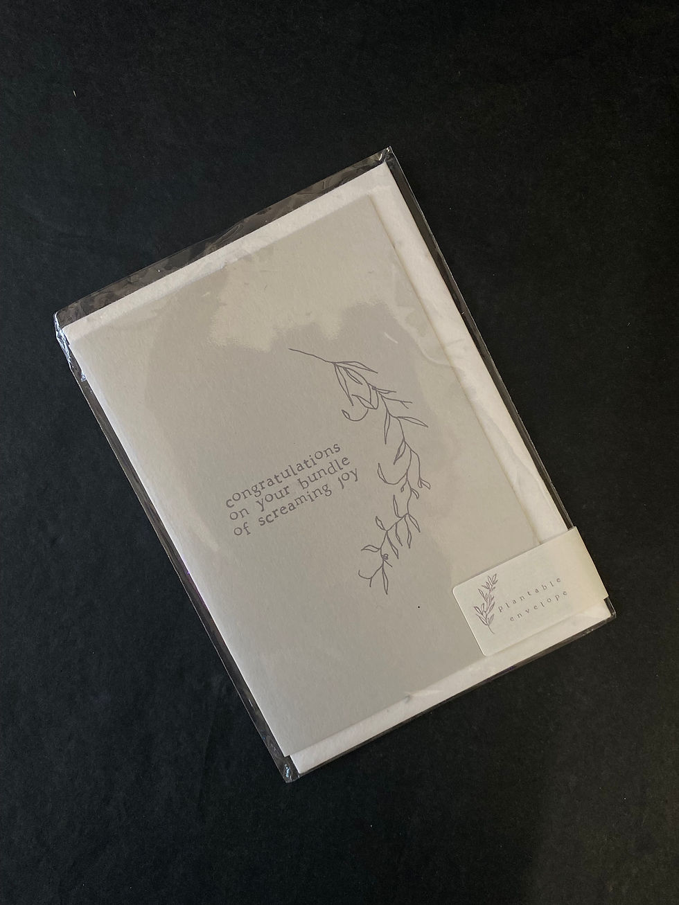 Bundle of Screaming Joy Seeded Envelope Greeting Card