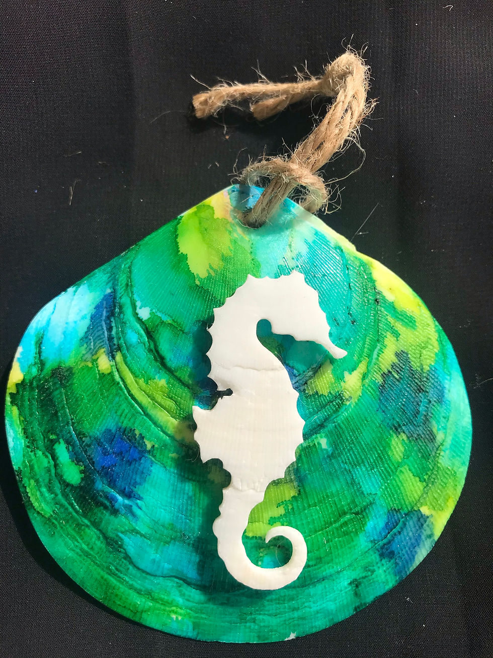 White seahorse on multicolored shell