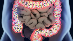 Gastrointestinal flora and gastrointestinal status in children with autism