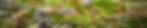 default.paginaheader.jpg