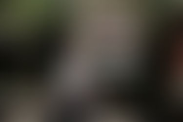 The SafetyWing App: My New Travel Essential