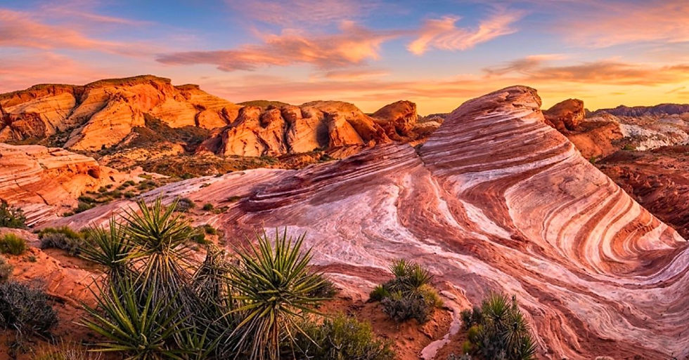 Valley of Fire : le guide complet pour visiter la Vallée de Feu du Nevada