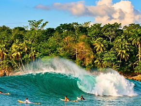 Surf Costa Rica : préparer votre trip en 2026
