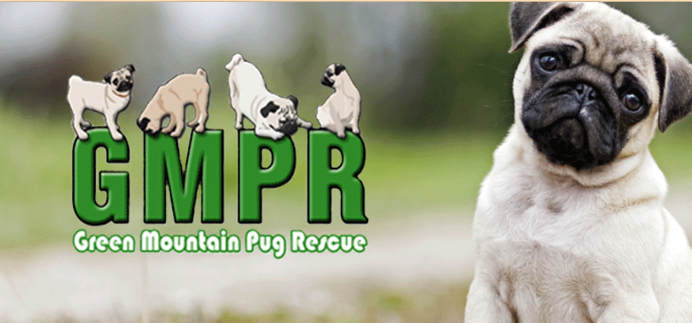 GMPR Meet Up