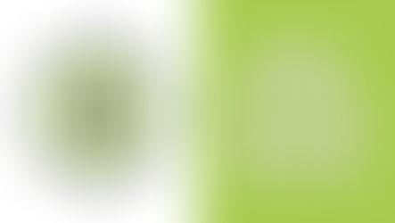 일대일 양육자 훈련
