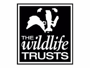 The Wildlife Trusts