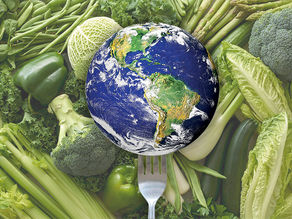 Why Should We Diet?