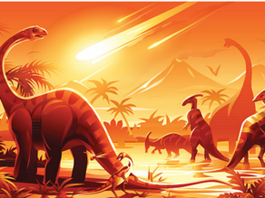 Will There Be Any Wildlife Left In 2050?
