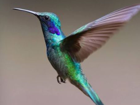 9 Pitfalls of Providing Cloud-Based Online Government Services