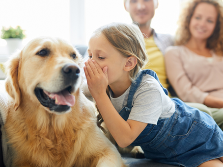 Talking to Your Pet: Why Verbal Communication is More Powerful Than You Think