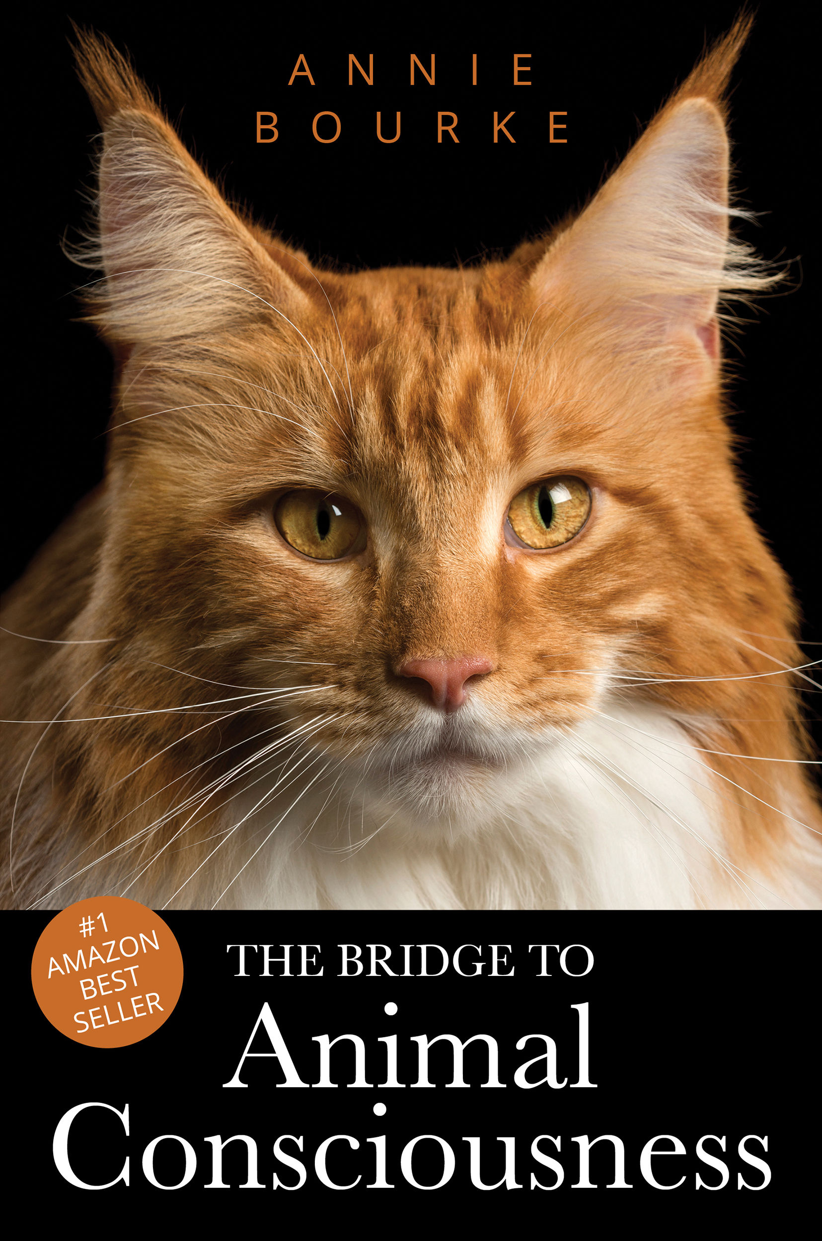 "The bridge to Animal Consciousness"