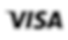 Logo-Visa.png