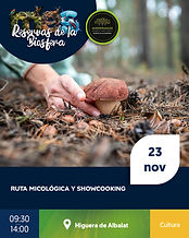 diseño mes de la reserva