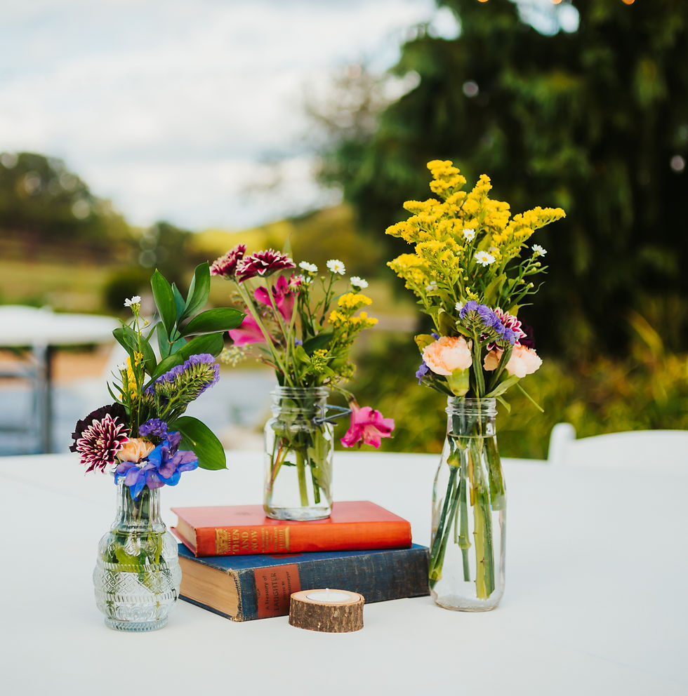 Eye-level view of a beautifully decorated outdoor wedding venue
