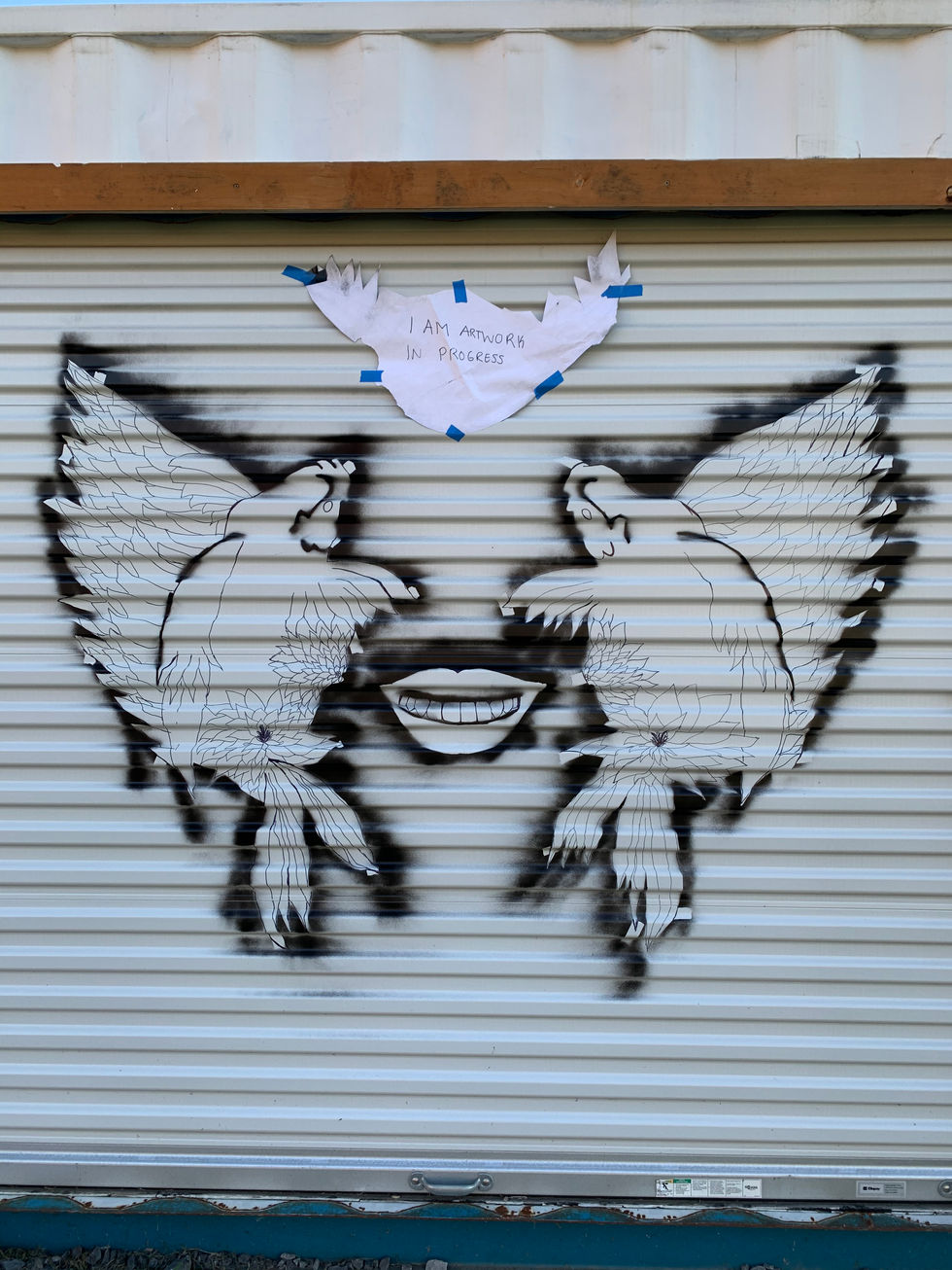 Progress Pictures Utica Wings II