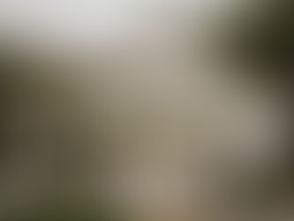 A bride and bridesmaids on the porch of the cottage at Hope Springs Farm Springfield Missouri
