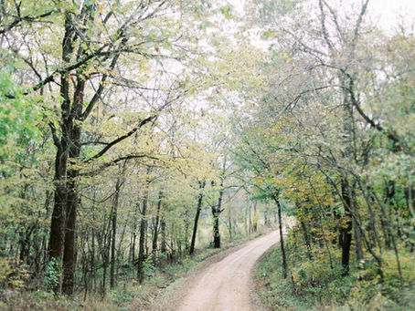 The Road to Hope Springs Farm Hartville MO