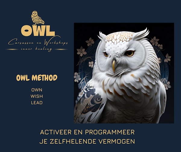 OWL CURSUS