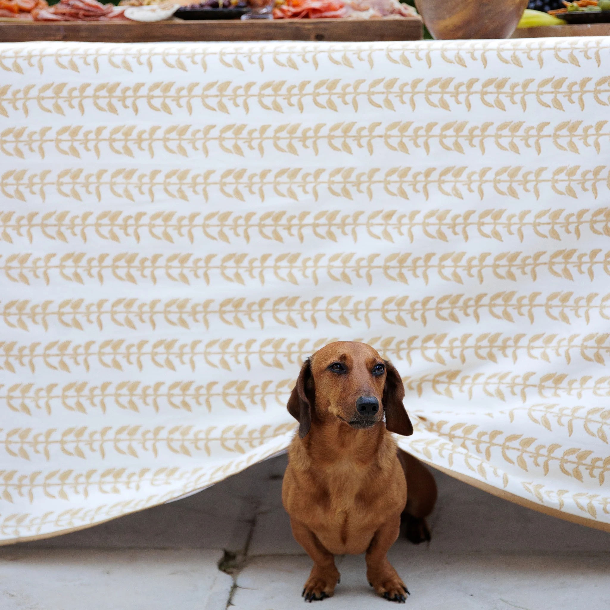 India Hicks 60X90 Climbing Nettle Sand Tablecloth
