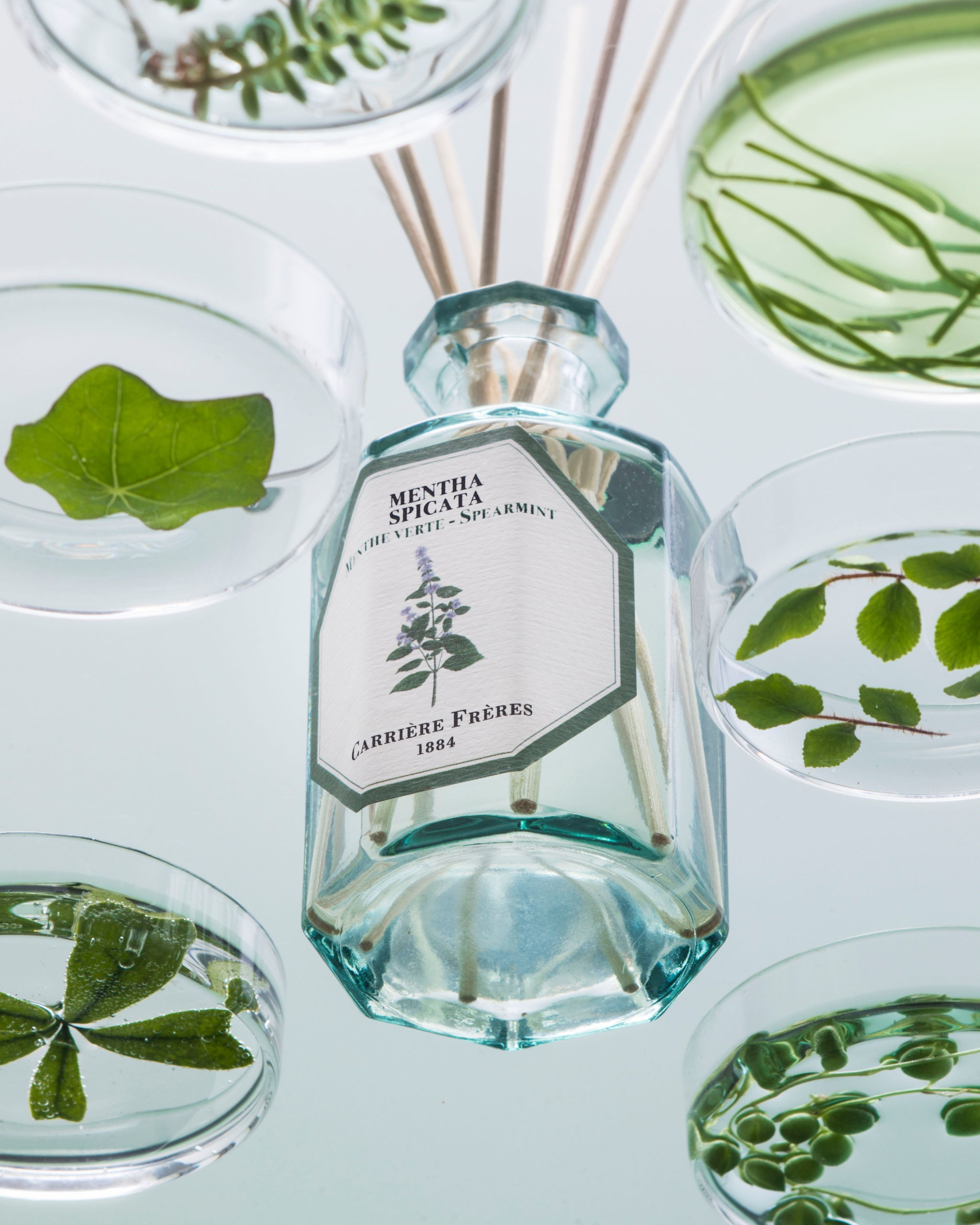 Diffuser 200Ml Spearmint