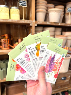 Tips to Grow Spring Seeds