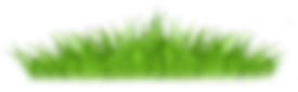 Noyemika_страна детства_1 (36).png