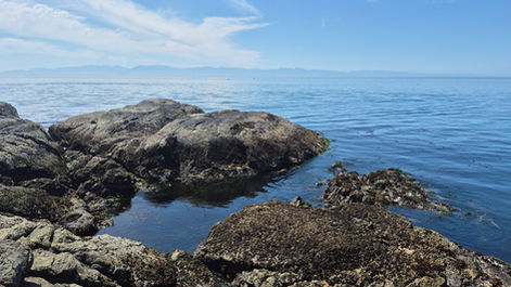 20220226_104923.jpg