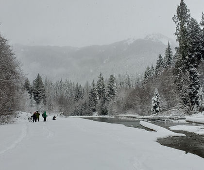 Snowshoe 12/21 Nooksack River - tentative