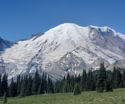 Hike 7/24 Sunrise Rim - Mt. Rainier