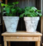 Terracotta Pots