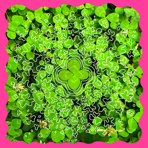 Clover Album Art.PNG