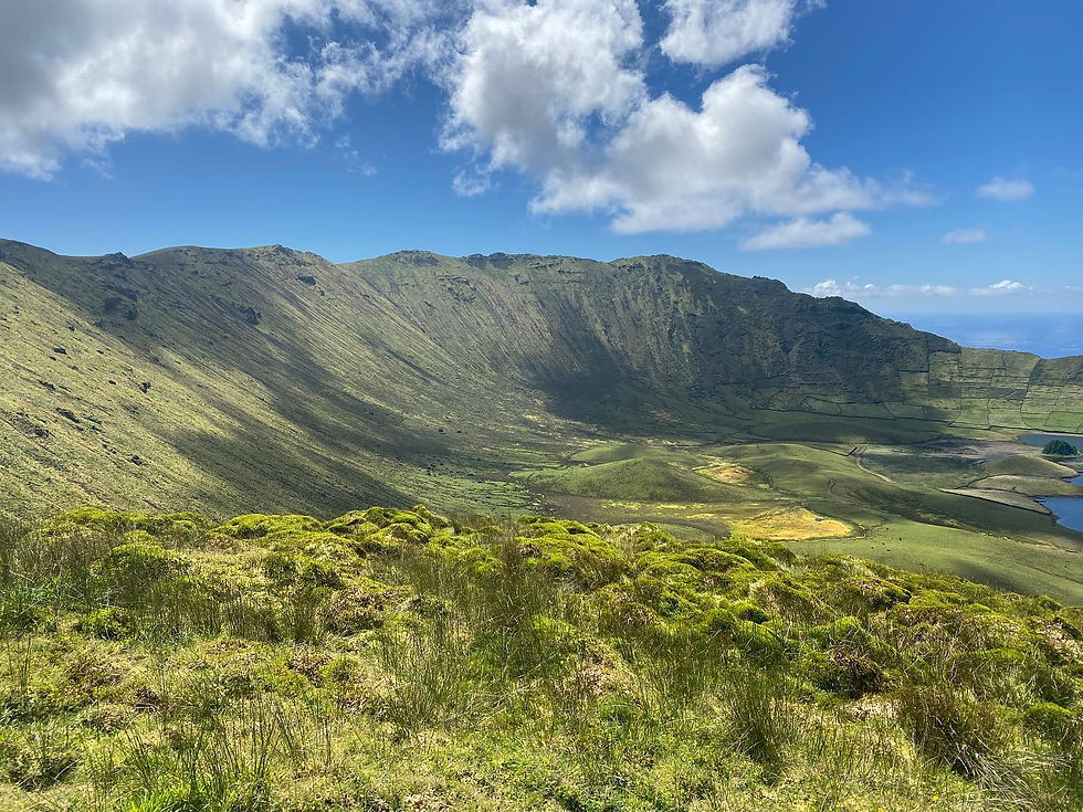 304774425_10226437274991833_4379908978382358263_n