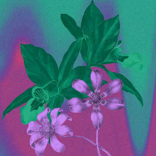 DIRECCION ARTE (1).gif