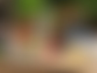 Let's talk Veg, Healthy Gut and feeling good again! Delicious recipes to get you started