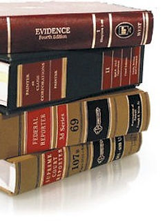 Michael Segal | Chicago Consultant and Legal Advocate