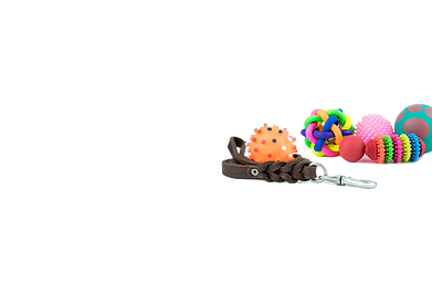 Untitled design.png