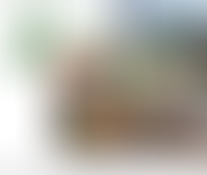 A magnificent 20th Anniversary Party