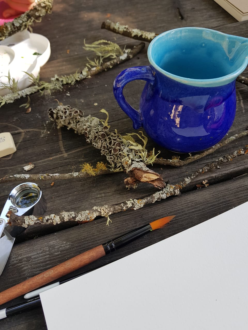 Lichen