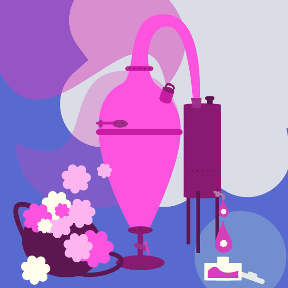 Alambic, fleurs et senteurs