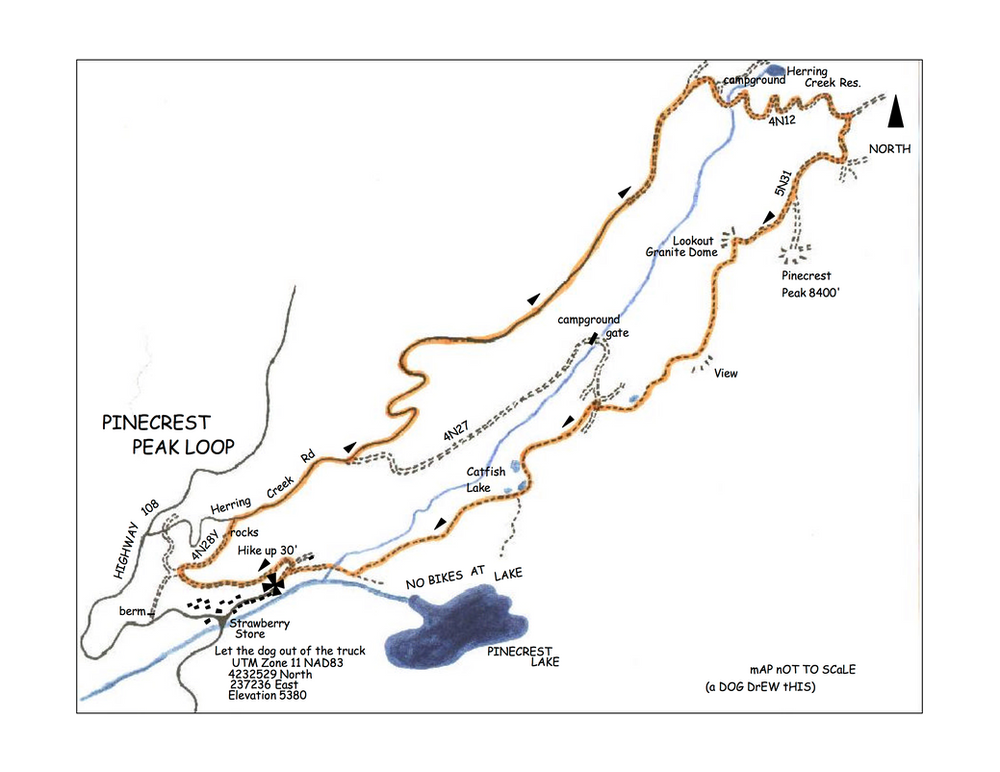 Pinecrest Peak Loop Trail