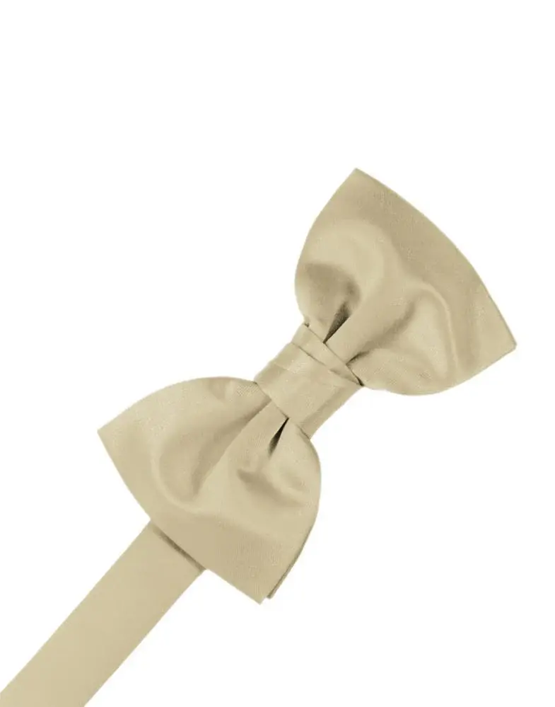 Thumbnail: Luxury Satin Bow Ties