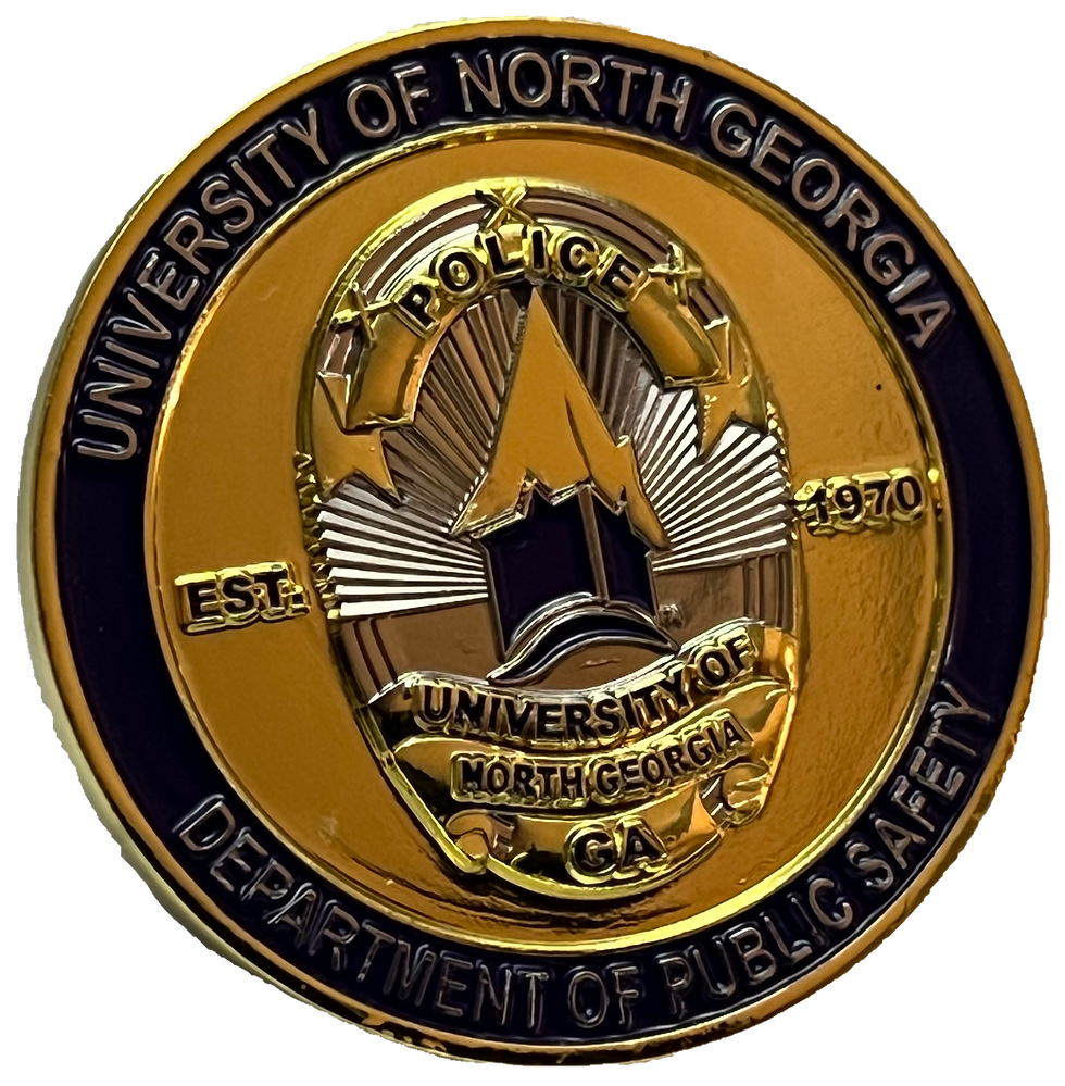 UNGDPS Generic Front