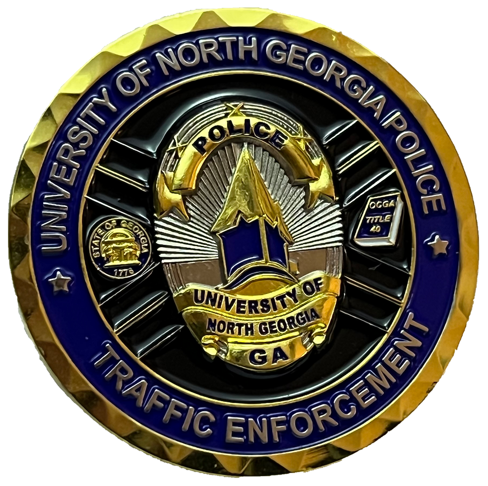 UNGDPS Traffic Enforcement Front